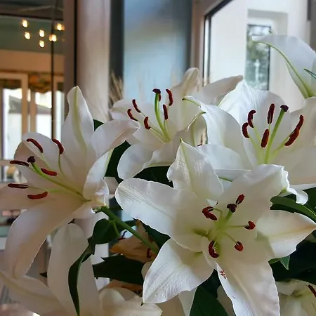 In Den Herrnwiesen Hotel