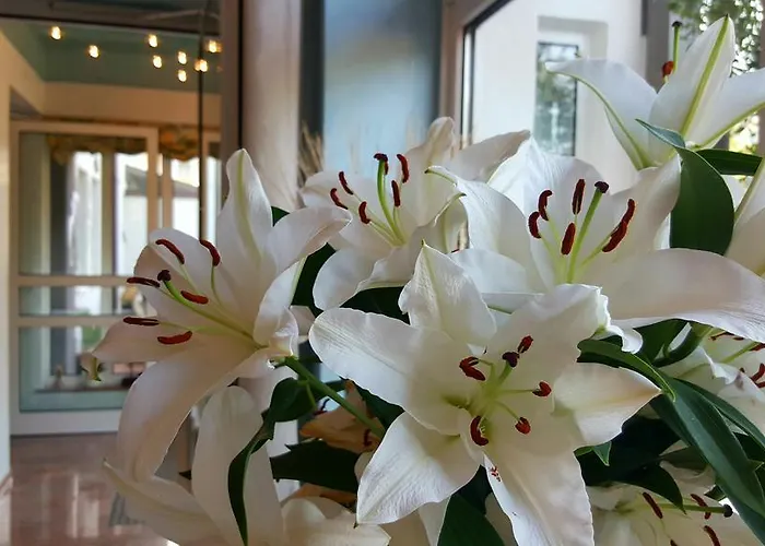 In Den Herrnwiesen Ξενοδοχείο